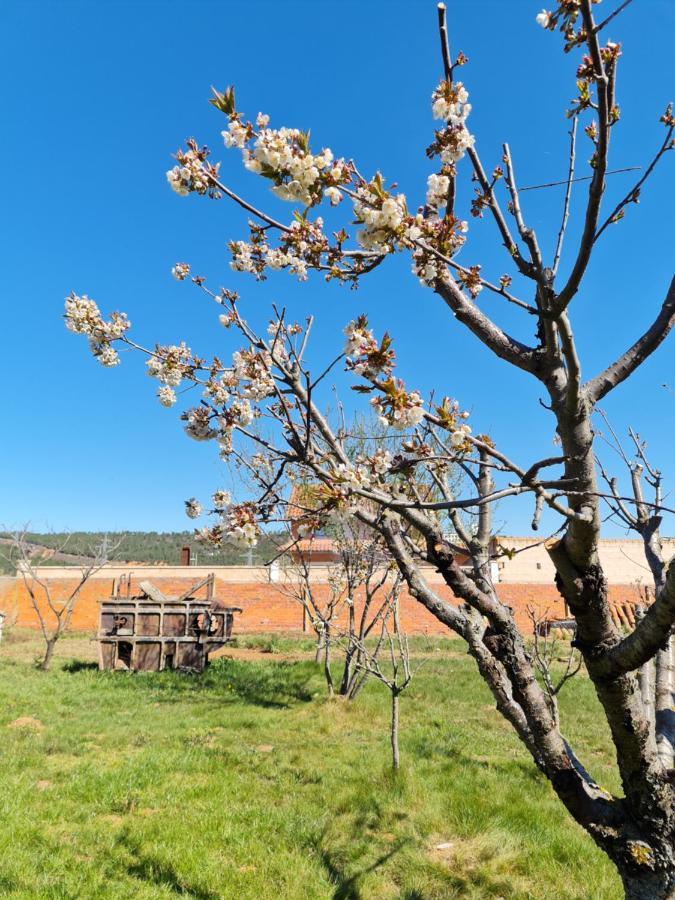 Casa Rural Las Aguedas Murias de Rechivaldo Zewnętrze zdjęcie