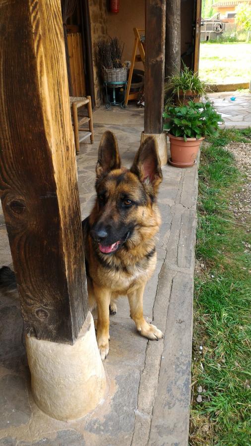 Casa Rural Las Aguedas Murias de Rechivaldo Zewnętrze zdjęcie